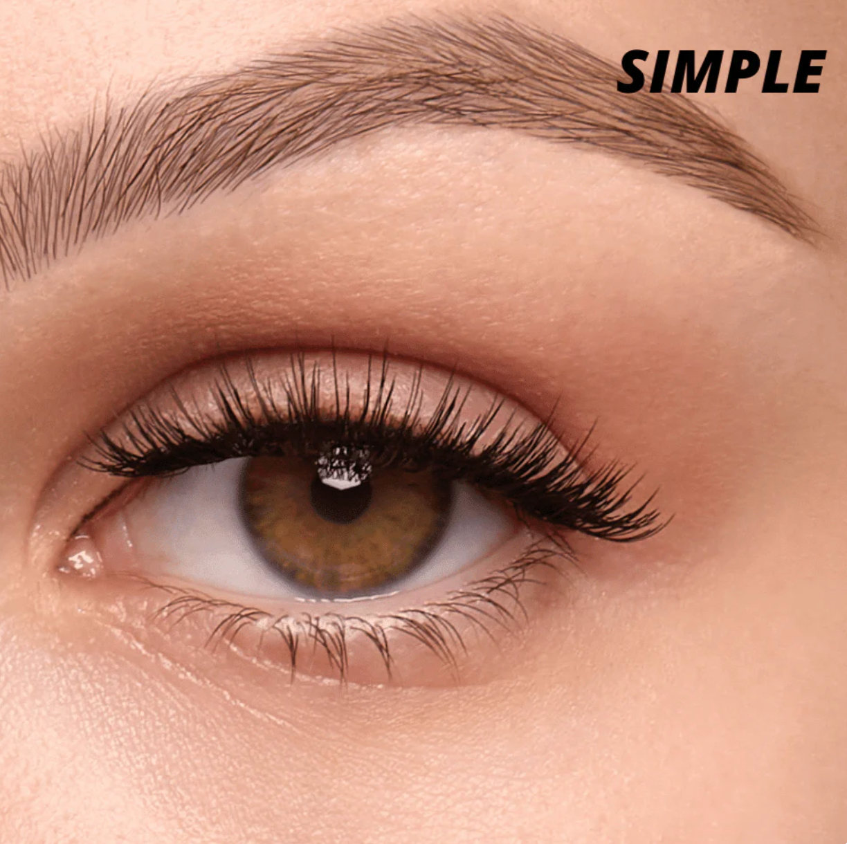 🔥LAST DAY 70% OFF🔥 - Reusable Magnetic Eyelashes