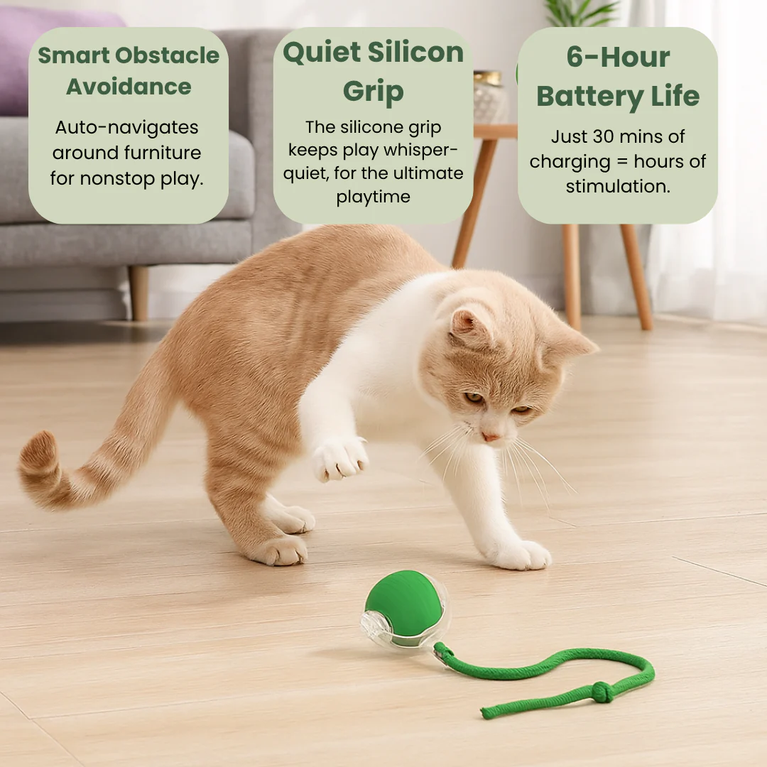 Magic Ball with Lights - Rechargeable, cat's favorite toy!