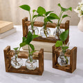 Wooden Frame Hydroponic Plant Vase