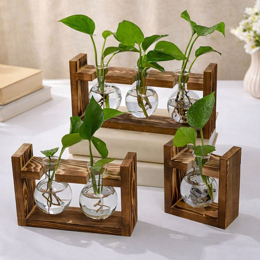 Wooden Frame Hydroponic Plant Vase